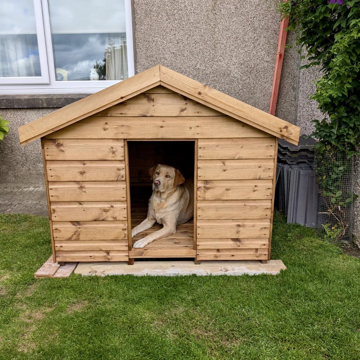TRADITIONAL DOG KENNEL