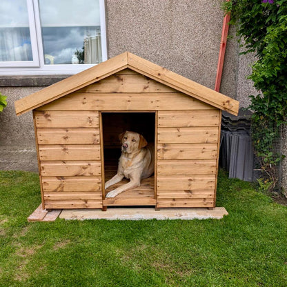 THE TRADITIONAL DOG KENNEL